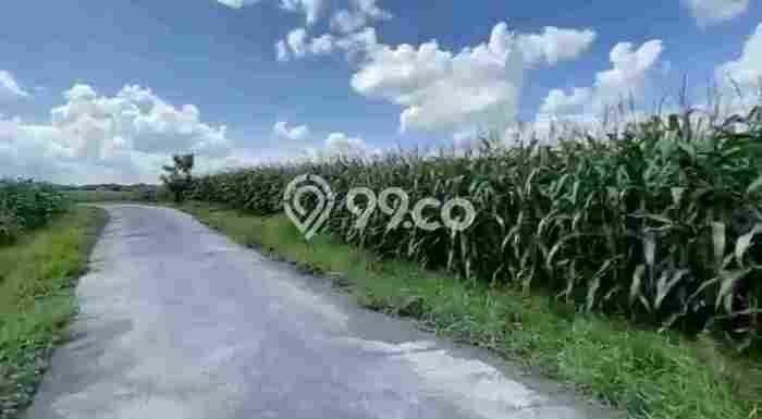 Dijual Tanah Lokasi Beraban, Tabanan Seluas 360m2 Dijual Tanah Lokasi Beraban, Tabanan Seluas 360m2