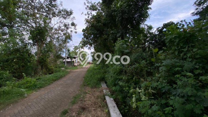 Lahan Kosong Dijual di Pungging, Mojokerto, Luas 26000m2 Area Strategis Lahan Kosong Dijual di Pungging, Mojokerto, Luas 26000m2 Area Strategis