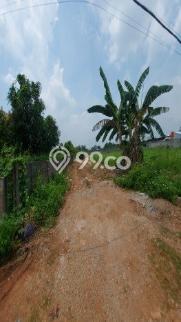 Kavling Tanah di Gunung Putri Dijual Luas 1194m2 Legalitas - Kavling Tanah di Gunung Putri Dijual Luas 1194m2 Legalitas -