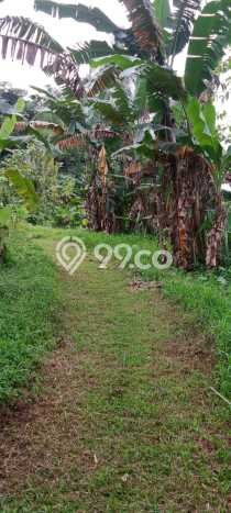 Untuk Dijual Tanah di Ciseeng Bogor Luas 44580m2 AJB Untuk Dijual Tanah di Ciseeng Bogor Luas 44580m2 AJB