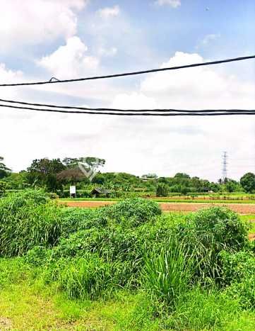 Jarang Ada! Tanah di Cikupa Punya Luas 54000m2 - Jarang Ada! Tanah di Cikupa Punya Luas 54000m2 -