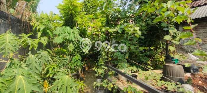 Rumah Modern 3 KT LT 335m2 di Teluk Naga Rumah Modern 3 KT LT 335m2 di Teluk Naga