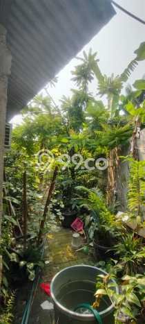 Rumah Modern 3 KT LT 335m2 di Teluk Naga Rumah Modern 3 KT LT 335m2 di Teluk Naga