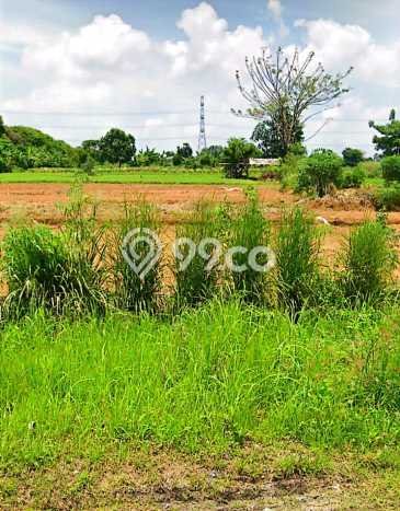 Jarang Ada! Tanah di Cikupa Punya Luas 54000m2 - Jarang Ada! Tanah di Cikupa Punya Luas 54000m2 -