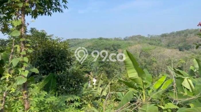 Dijual Tanah di Jasinga Bogor Luas 23820m2 SHM Dijual Tanah di Jasinga Bogor Luas 23820m2 SHM