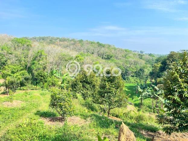 Dijual Tanah di Jasinga Bogor Luas 23820m2 SHM Dijual Tanah di Jasinga Bogor Luas 23820m2 SHM