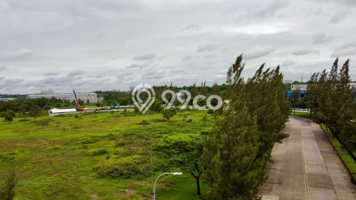 Tanah Kavling untuk Dijual di Cikarang Utara Bekasi 6000m2 Tanah Kavling untuk Dijual di Cikarang Utara Bekasi 6000m2