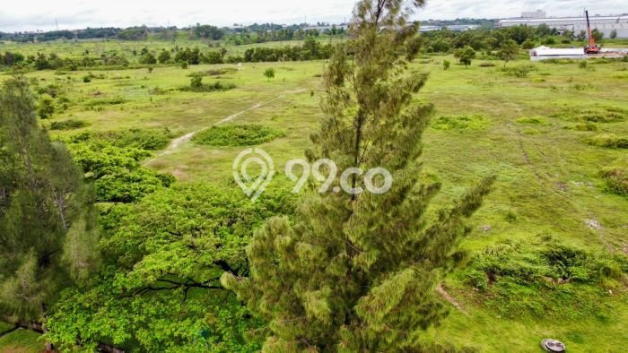 Tanah Kavling untuk Dijual di Cikarang Utara Bekasi 6000m2 Tanah Kavling untuk Dijual di Cikarang Utara Bekasi 6000m2