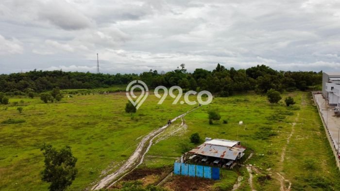 Tanah Kavling untuk Dijual di Cikarang Utara Bekasi 6000m2 Tanah Kavling untuk Dijual di Cikarang Utara Bekasi 6000m2