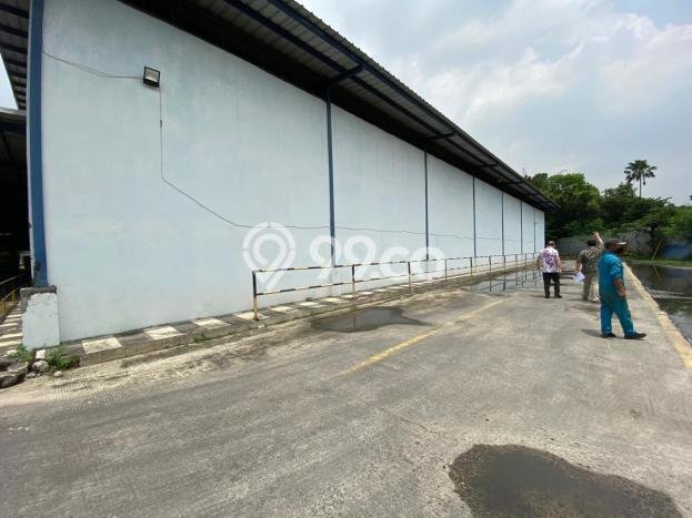 Gudang Dijual Lokasi Stratagis di Gunung Putri Bogor Cocok untuk Investasi Gudang Dijual Lokasi Stratagis di Gunung Putri Bogor Cocok untuk Investasi
