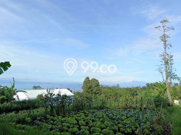 Tanah Strategis Dijual di Ngamprah Bandung Barat 3450m2 Tanah Strategis Dijual di Ngamprah Bandung Barat 3450m2
