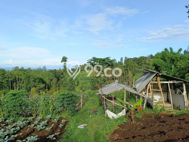 Tanah Strategis Dijual di Ngamprah Bandung Barat 3450m2 Tanah Strategis Dijual di Ngamprah Bandung Barat 3450m2