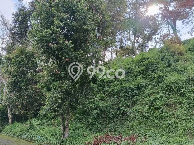 Kavling Tanah Dijual di Parongpong Bandung Barat Spesifikasi 250m2 Kavling Tanah Dijual di Parongpong Bandung Barat Spesifikasi 250m2