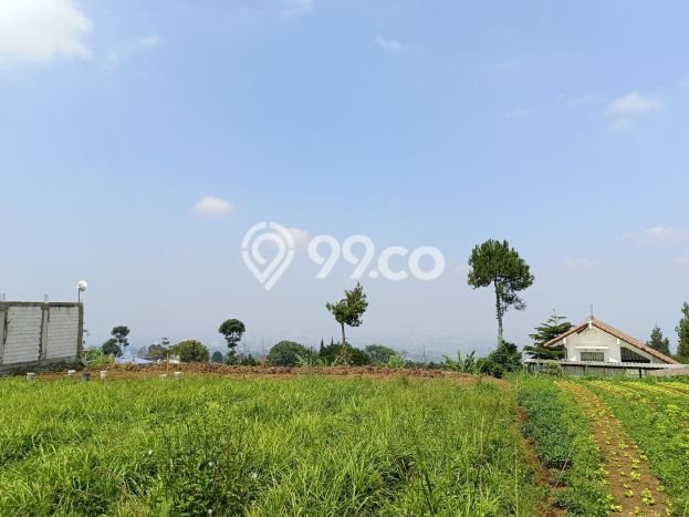 Jual Segera Rumah 4 KT 3 KM di Kawasan Komersial Parongpong, Bandung Barat Jual Segera Rumah 4 KT 3 KM di Kawasan Komersial Parongpong, Bandung Barat