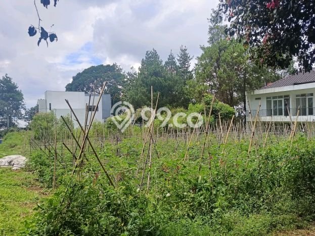 Tanah Dijual Lokasi Parongpong, Bandung Barat dengan Luas Tanah 1000m2 dan Status SHM Tanah Dijual Lokasi Parongpong, Bandung Barat dengan Luas Tanah 1000m2 dan Status SHM