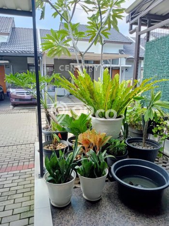 Rumah Minimalis 2 Kamar LT 65m2 di Pasteur Rumah Minimalis 2 Kamar LT 65m2 di Pasteur