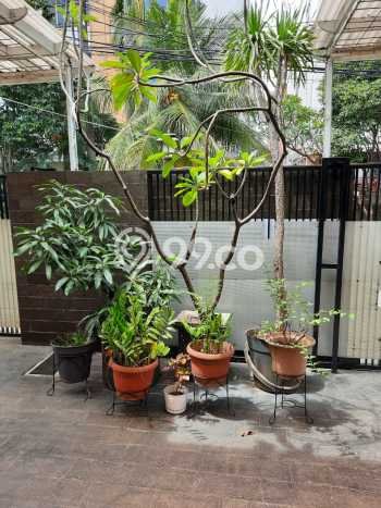 Jual Rumah Luas Megah Dengan View Eksklusif di Meruya, Jakarta Barat Jual Rumah Luas Megah Dengan View Eksklusif di Meruya, Jakarta Barat