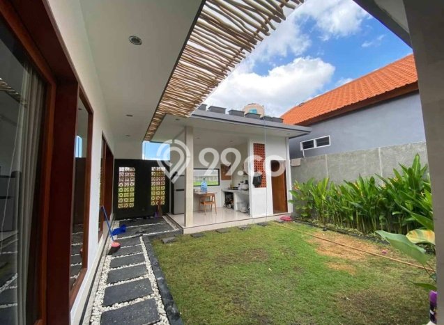 Disewakan Rumah Murah di Umalas Badung Punya 2 Kamar Tidur Disewakan Rumah Murah di Umalas Badung Punya 2 Kamar Tidur