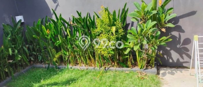 Disewakan! Rumah 2 Kamar Tidur &
1 Kamar Mandi di Kerobokan, Badung Disewakan! Rumah 2 Kamar Tidur &
1 Kamar Mandi di Kerobokan, Badung