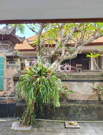 Sewa Rumah Murah di Nusa Dua Badung dengan 5 Kamar Tidur Sewa Rumah Murah di Nusa Dua Badung dengan 5 Kamar Tidur