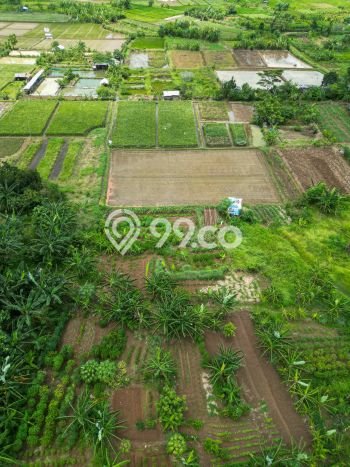 Jarang Ada! Tanah di Tapos Punya Luas 320000m2 SHM Jarang Ada! Tanah di Tapos Punya Luas 320000m2 SHM