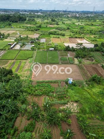 Jarang Ada! Tanah di Tapos Punya Luas 320000m2 SHM Jarang Ada! Tanah di Tapos Punya Luas 320000m2 SHM