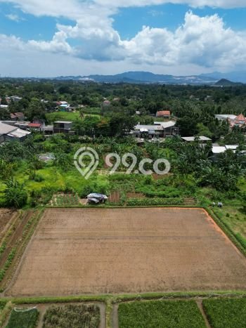 Jarang Ada! Tanah di Tapos Punya Luas 320000m2 SHM Jarang Ada! Tanah di Tapos Punya Luas 320000m2 SHM