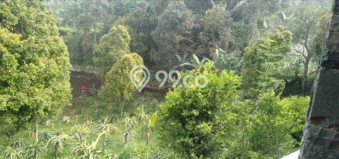 Lahan Dijual Lokasi Panawangan, Ciamis dengan Luas Tanah 16000m2 dan Status - Lahan Dijual Lokasi Panawangan, Ciamis dengan Luas Tanah 16000m2 dan Status -