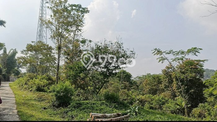 Lahan Dijual Lokasi Panawangan, Ciamis dengan Luas Tanah 16000m2 dan Status - Lahan Dijual Lokasi Panawangan, Ciamis dengan Luas Tanah 16000m2 dan Status -