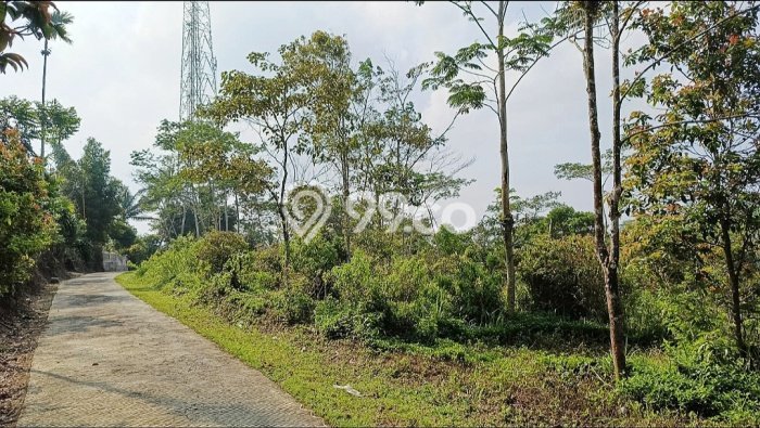 Lahan Dijual Lokasi Panawangan, Ciamis dengan Luas Tanah 16000m2 dan Status - Lahan Dijual Lokasi Panawangan, Ciamis dengan Luas Tanah 16000m2 dan Status -