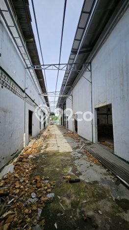 Gudang Bagus Dijual di Dadap Tangerang Lokasi Strategis Cocok untuk Kembangkan Bisnis Gudang Bagus Dijual di Dadap Tangerang Lokasi Strategis Cocok untuk Kembangkan Bisnis