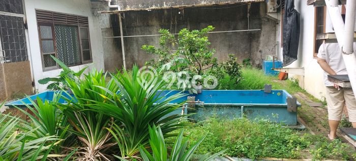 Rumah sewa siap huni 5 Kamar Tidur di Babakan, Bogor Rumah sewa siap huni 5 Kamar Tidur di Babakan, Bogor