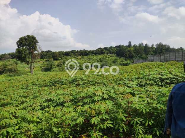 Tanah Kavling untuk Dijual di Sukaraja Bogor 9000m2 Tanah Kavling untuk Dijual di Sukaraja Bogor 9000m2