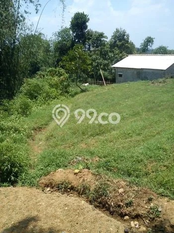 Kavling Tanah di Cianjur Dijual Luas 4450m2 Legalitas SHM Kavling Tanah di Cianjur Dijual Luas 4450m2 Legalitas SHM