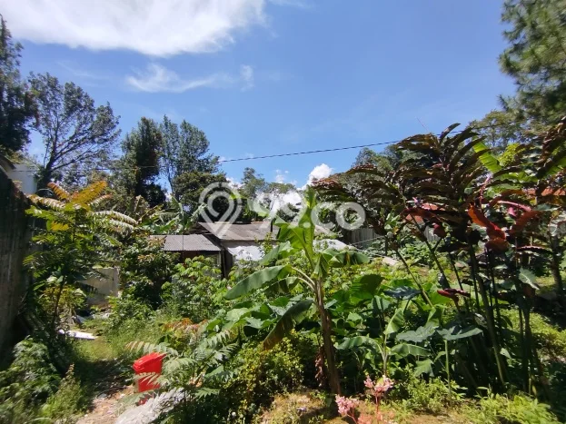 Tanah Dijual Lokasi Lembang, Bandung Barat Luas 1000m2 Legalitas Aman Tanah Dijual Lokasi Lembang, Bandung Barat Luas 1000m2 Legalitas Aman