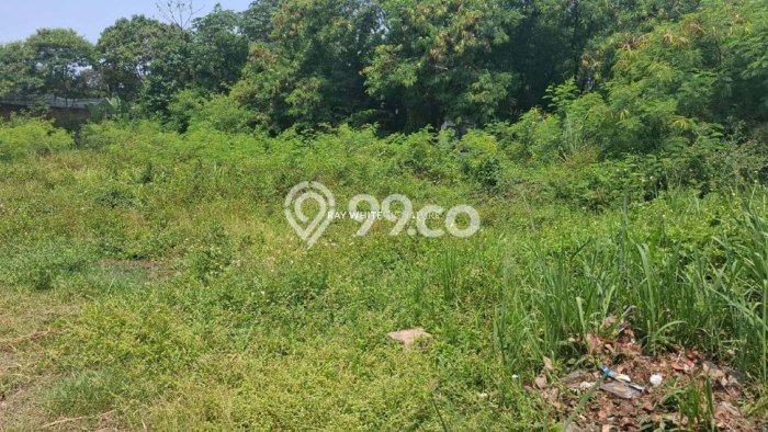 Tanah Dijual di Bogor Seluas 6000m2 Strategis Tanah Dijual di Bogor Seluas 6000m2 Strategis