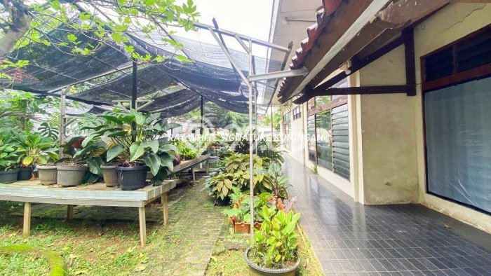 Hot Offer Hunian Mewah Ideal dan Luas di Pancoran, Jakarta Selatan Hot Offer Hunian Mewah Ideal dan Luas di Pancoran, Jakarta Selatan