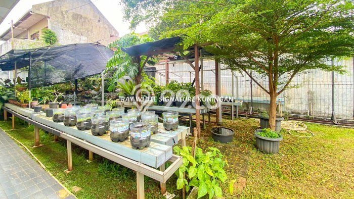 Hot Offer Hunian Mewah Ideal dan Luas di Pancoran, Jakarta Selatan Hot Offer Hunian Mewah Ideal dan Luas di Pancoran, Jakarta Selatan