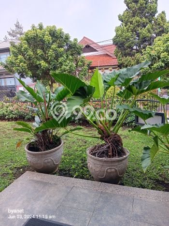 Hot Offer Hunian Mewah Ideal dan Luas di Cimahi Utara, Cimahi Hot Offer Hunian Mewah Ideal dan Luas di Cimahi Utara, Cimahi