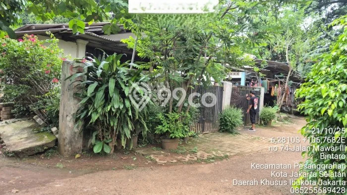 Hunian Nyaman Asri 3 KT Siap Pakai di Bintaro Jakarta Selatan Hunian Nyaman Asri 3 KT Siap Pakai di Bintaro Jakarta Selatan