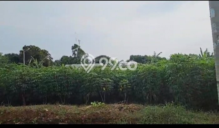Jarang Ada! Tanah di Gunung Sindur Punya Luas 3294m2 SHM Jarang Ada! Tanah di Gunung Sindur Punya Luas 3294m2 SHM