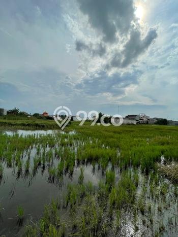 Kavling Tanah Dijual di Candi, Sidoarjo, Luas 8295m2 Area Strategis Kavling Tanah Dijual di Candi, Sidoarjo, Luas 8295m2 Area Strategis