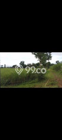 Tanah Kavling Dijual di Malang dengan Spesifikasi 8973m2 Tanah Kavling Dijual di Malang dengan Spesifikasi 8973m2