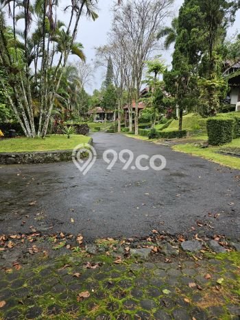 AREA PREMIUM! Vila Kawasan Trawas, Dimensi 534m2m², Akses ke fasilitas umum AREA PREMIUM! Vila Kawasan Trawas, Dimensi 534m2m², Akses ke fasilitas umum