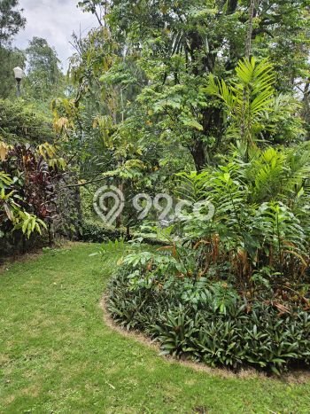 AREA PREMIUM! Vila Kawasan Trawas, Dimensi 534m2m², Akses ke fasilitas umum AREA PREMIUM! Vila Kawasan Trawas, Dimensi 534m2m², Akses ke fasilitas umum