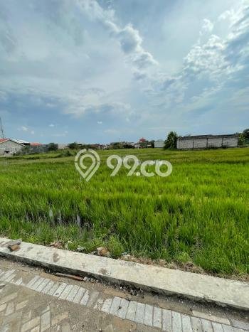Kavling Tanah Dijual di Candi, Sidoarjo, Luas 8295m2 Area Strategis Kavling Tanah Dijual di Candi, Sidoarjo, Luas 8295m2 Area Strategis