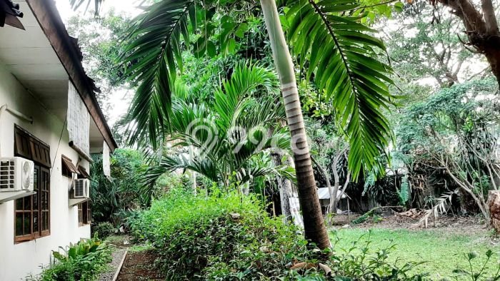 Dijual Rumah Premium dengan Fasilitas Sekitar Komplit di Kebon Jeruk, Jakarta Barat Dijual Rumah Premium dengan Fasilitas Sekitar Komplit di Kebon Jeruk, Jakarta Barat