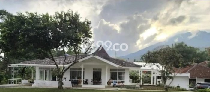 Kavling Tanah di Cijeruk Dijual Luas 18092m2 Legalitas SHM Kavling Tanah di Cijeruk Dijual Luas 18092m2 Legalitas SHM