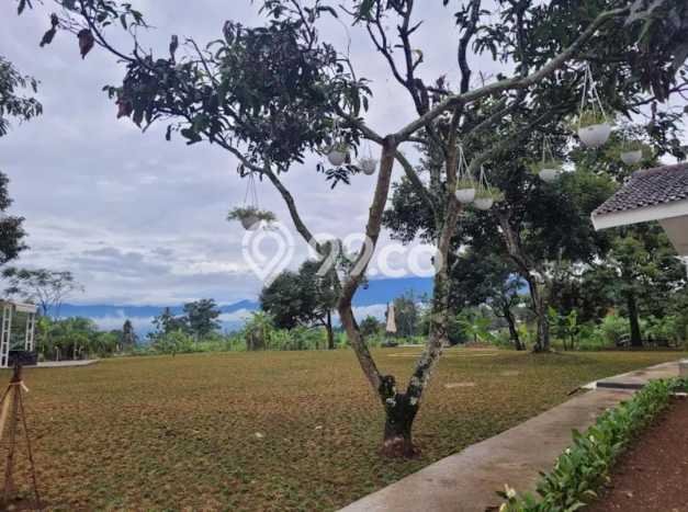 Kavling Tanah di Cijeruk Dijual Luas 18092m2 Legalitas SHM Kavling Tanah di Cijeruk Dijual Luas 18092m2 Legalitas SHM
