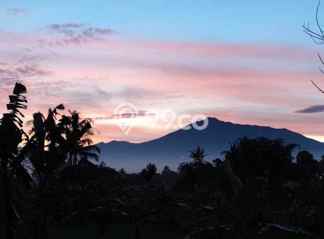 Kavling Tanah di Cijeruk Dijual Luas 18092m2 Legalitas SHM Kavling Tanah di Cijeruk Dijual Luas 18092m2 Legalitas SHM